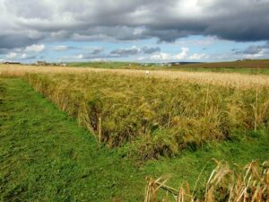 B2A63326-6D4A-431A-A2A4-57158DEBF600