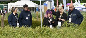 Cereals_Official_01 copy