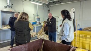 PXL_20241028_131147325.MP