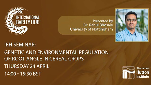 IBH Seminar | Genetic and environmental regulation of root angle in cereal crops