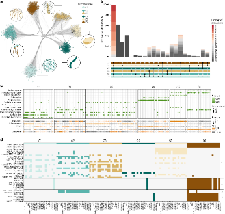 A barley pan-transcriptome reveals layers of genotype-dependent transcriptional complexity